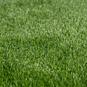 苗 人口芝の人気商品 通販 価格比較 価格 Com