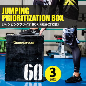 WsOvCIBOX BODYMAKER {fB[J[ ㋣Zg[jO vCIgNXg[jOp{bNX vCI{bNX Wv{bNX g ݑ u Wv 