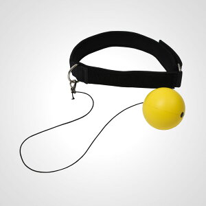 wbhXs[h{[DX BODYMAKER {fB[J[ {NVO {[ ̎ ː_o u  ȒP XgXU XgX iZ  p`O{[ ŌK Kp{[ 