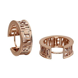 VIVIENNE WESTWOOD ヴィヴィアンウエストウッド ピアス Vivienne Westwood ピアス WESTMINSTER 62030046/G002