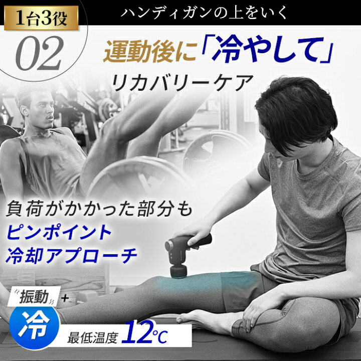楽天市場】【2/10ポイント10倍】 ドクターエア エクサガン ホット 