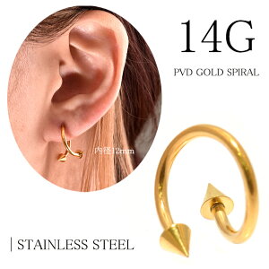 XpCo[x 14g {fBsAX sAX XeXsAX ςȂ S[hXpC Y fB[X XpCN R[ Lb`