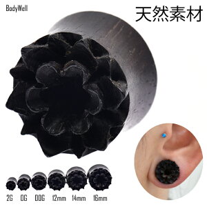 2G 0G 00G t[ ԃsAX ubN EbhsAX gsAX nhChsAX _utA VRf {fBsAX