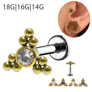 AM[Ή 18G 16G 14G S4F GOLD WRjA gjeB C^[iubg `^sAX wbNX Ci[RN AE^[RN u sAX