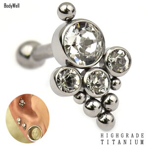 {fBsAX 16G AM[Ή S[WX NX^[ `^f C^[i Xg[gsAX u sAX