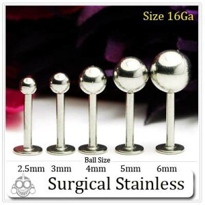 sAX {fBsAX 16G ubgsAX AM[Ή T[WJXeX t@[XgsAX ZJhsAX ςȂ gKX