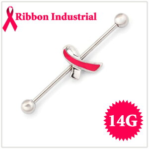 C_XgA 14g sN { NXsAX \ Oo[x sAX Xg[go[x {fBsAX