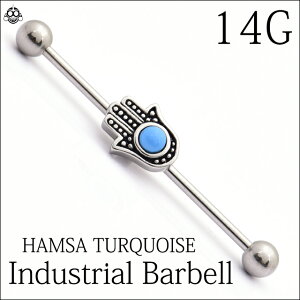 {fBsAX 14G 2WAY nT HAMSA ^[RCY C_XgA Oo[x XeXsAX