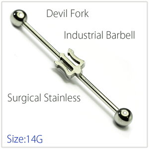 C_XgA 14g fr tH[N C_XgA sAX Xg[go[x {fBsAX