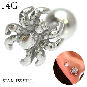 {fBsAX 14G w XpC_[ Xg[go[x XeXsAX sAX u sAX