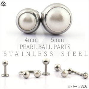 {fBsAX 14Gp p[ĉ i p[sAX sAXLb` sAXp[c u sAX