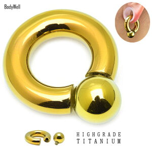 AM[Ή 2G `^sAX AeB[NS[h SOLID-TI t₷ C^[i OsAX {fBsAX