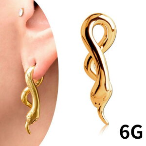 {fBsAX 6g S[h Xl[N փsAX K^ tbNsAX gsAX XeXsAX ςȂ