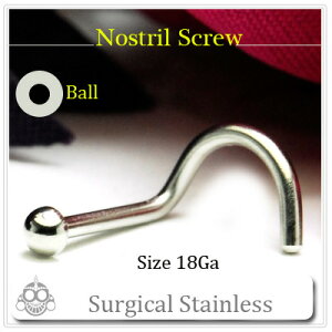 @sAX 18g {[^ m[Y XN[ XeXsAX ςȂ mXg @ {fBsAX