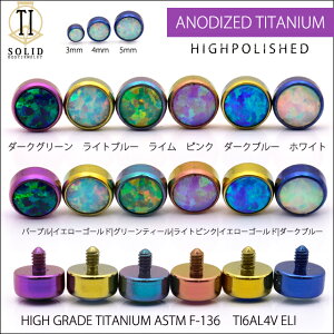 {fBsAX 14Gp JoLx Ip[ SOLID-TI AM[t[ AM[Ή p[ĉ݁ C^[ip