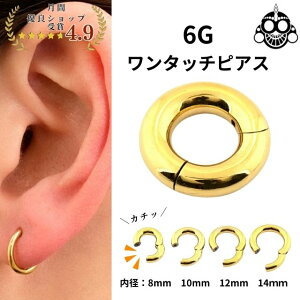 {fBsAX 6G ȒPJ`bƑ 24S[hPVD ZOgOsAX NbJ[sAX u gsAX