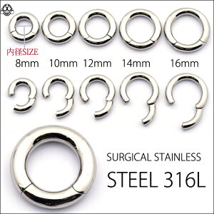 {fBsAX 6G Iׂa RȂȒPJ`bƑ ZOgO NbJ[ XeXsAX u gsAX