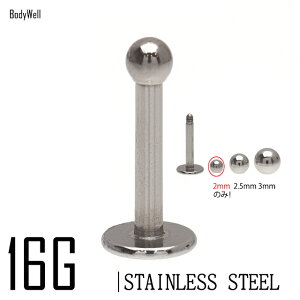 {fBsAX 16G }CN 2mm{[ X^_[h ubgX^bY XeXsAX u wbNX gKX sAX