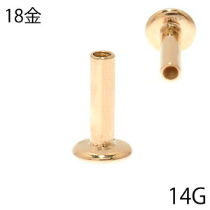 18S[h 14Gp 18K AM[Ή C^[iubg p[ĉ u gKX wbNX sAX {fBsAX ςȂ