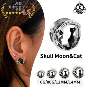 {fBsAX 0G 00G ƃXJƍL C^[i_utA XeXsAX gsAX