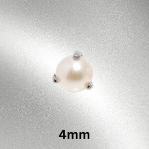 ^ VR p[sAX18G 16G C^[iubg AM[Ή `^sAX wbNX Ci[RN AE^[RN u sAX {fBsAX