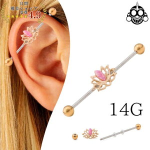 C_XgA {fBsAX 14G 2WAY Ip[@`[t Oo[x AM[Ή ςȂ sAX
