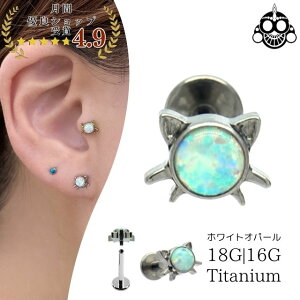 gKXsAX 18G 16G L CAT Ip[ C^[i ubg AM[Ή `^sAX ςȂ u wbNX sAX {fBsAX