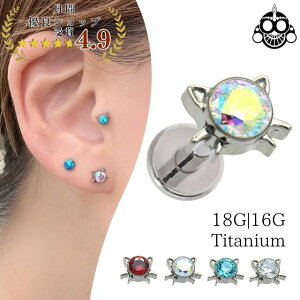 gKXsAX 18G 16G L CAT S4F Xg[ C^[i ubg AM[Ή `^sAX ςȂ u wbNX sAX {fBsAX