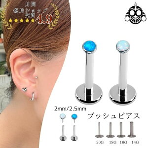 vbVsAX 20G 18G 16G 14G 2mm 2.5mm S2F Ip[ `^ AM[Ή ςȂ ubgX^bh {fBsAX sAX gKXsAX