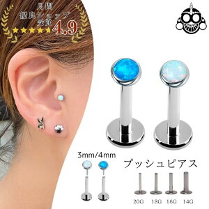 vbVsAX 20G 18G 16G 14G 3mm 4mm S2F Ip[ `^ AM[Ή ςȂ ubgX^bh {fBsAX sAX gKXsAX