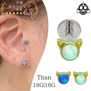 gKXsAX 18G 16G S[h L CAT S2FIp[ C^[i ubg AM[Ή `^sAX ςȂ u wbNX sAX {fBsAX