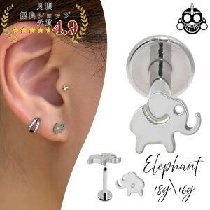 gKXsAX 18G 16G  Gt@g C^[i ubg AM[Ή `^sAX ςȂ u wbNX sAX {fBsAX