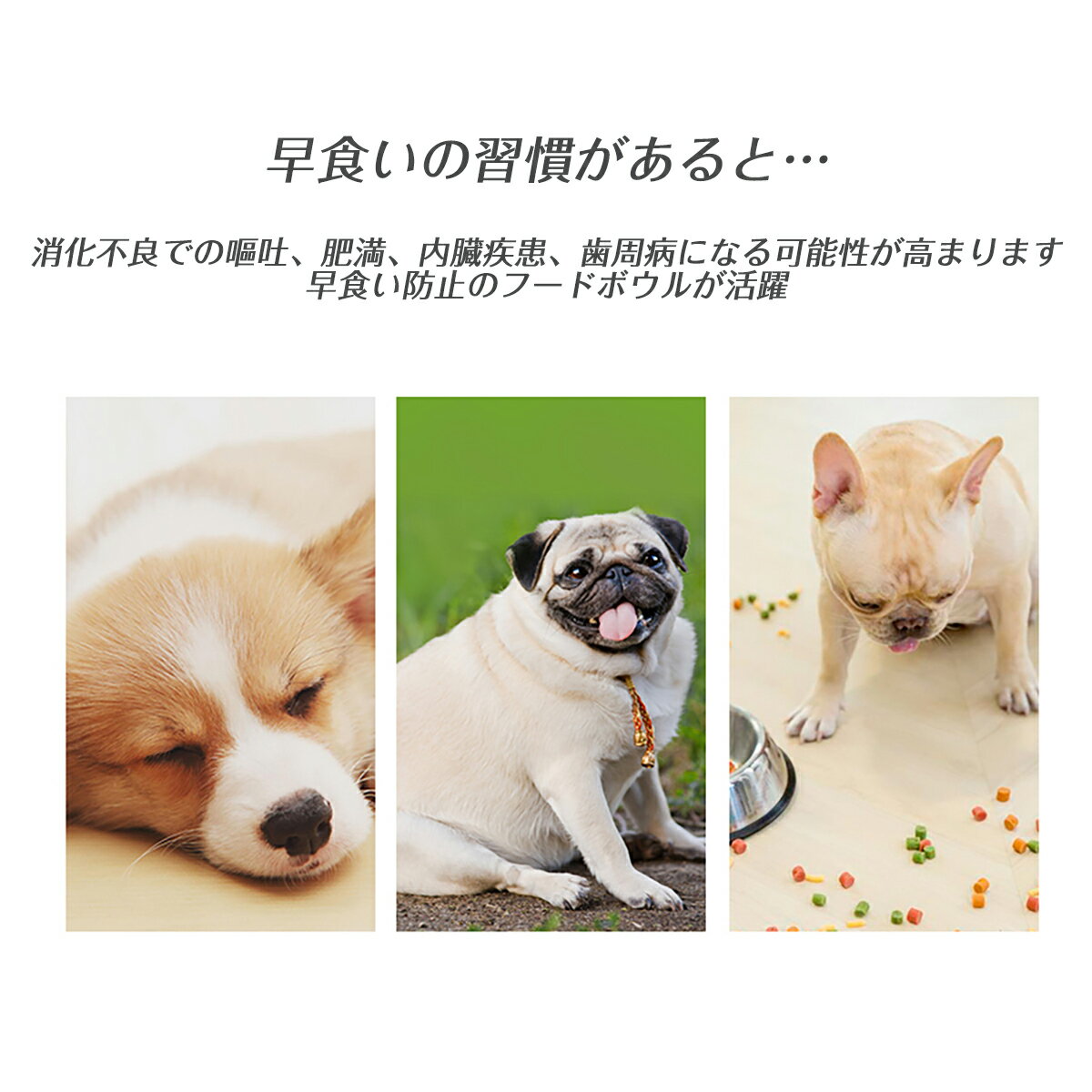 【10月4日20時〜10月11日1時59分まで ポイント10倍】早食い防止 ぐらぐらボウル ワンちゃん ネコちゃん 誤飲 胃拡張 窒息 嘔吐 防止 SUNS-Shop