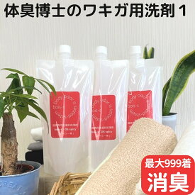 鉛筆の芯 スパイシー系 ワキガ臭 消臭洗剤 500ml×3 ニオイ対策 衣類用 スプレー 洋服 デオドラント 衣類 ワキガ 消臭 消臭スプレー 洗剤 脇 わきが対策 男性 女性 子供 ワキガ用 洗濯洗剤 腋臭 におい 体臭 わき汗 臭い 匂い 対策 改善 洗濯 bois-s DSスパイシー 皮膚ガス