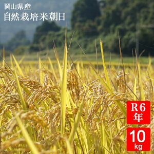 y엿 R͔|āzy_sgpzyāzyߘa6NYz RY  10kg(5kg×2) ^s k[Y