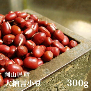 RY [  300g yߘa5NYzy[ցzyz)ԎwE͂ł܂