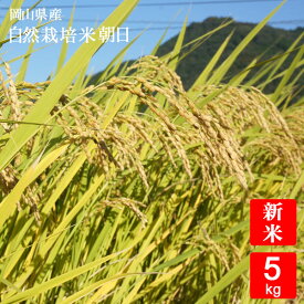 【無肥料 自然栽培米】【農薬不使用】【玄米】【令和7年産】 岡山県産 朝日 5kg　真庭市 旧北房町産