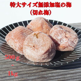 農家が作る特大サイズ無添加梅干し（切れ梅）500g～1kg無添加 南高梅 国産 和歌山県産 梅干し 食べ物 送料無料 グルメ 簡易パッケージ 500g 1kg