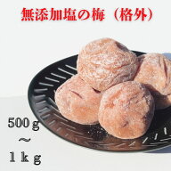 農家が作る特大サイズ無添加梅干し（格外）500g～1kg 無添加 南高梅 国産 和歌山県産 梅干し 食べ物 送料…