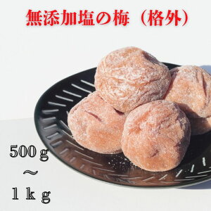 _ƂTCYY~iiOj500g`1kg Y 썂~ Y a̎RY ~ Hו  O ȈՃpbP[W 500g 󂠂 1kg