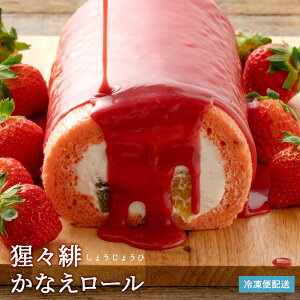 yʊIAEgbgZ[łɃQbgzP[L t[c [P[L ́Xi傤傤ЁjȂ[   a o[Xf[P[L aP[L j 蕨 