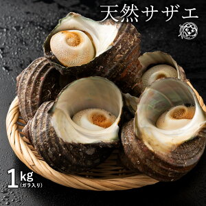 TUG u쌧YƂꂽēVRTUG1kg(4`5)v  [    h ڏĂ Ă o[xL[Zbg v[g  ① Ε ]
