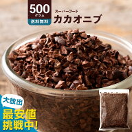 カカオニブ 送料無料 無添加 お徳用 500g スーパーフード カカオ 送料無料 ポリフェノール 食物繊維 美容…