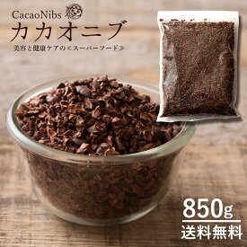 カカオニブ 送料無料 850g 訳あり スーパーフード カカオ ポリフェノール 食物繊維 製菓 製パン 材料 トッピング チョコチップ風 カカオ豆 お徳用 業務量 1kgより少し少ない850g