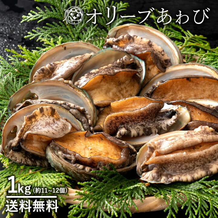 楽天市場 あわび オリーブあわび 1kg 10 11個 目安 殻入り 送料無料 冷蔵便 あわび アワビ 鮑 海鮮 貝 鉄板焼き バーベキュー ステーキに 新鮮 ぼくの玉手箱屋ー
