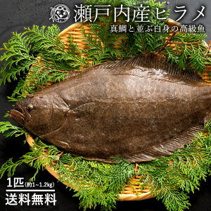 えんがわの人気商品 通販 価格比較 価格 Com