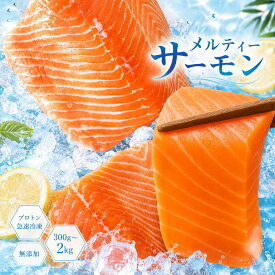 サーモン お刺身 「 メルティーサーモン 300g〜最大2kg ( アトランティックサーモン ) 」送料無料 [ 無添加 鮭 さけ サケ 海鮮 生サーモン 生食サーモン 骨なし お取り寄せ アトランティック タイセイヨウサケ フィレ 瀬戸水産 ]