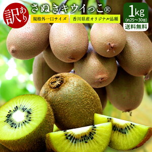 y󂠂z ʌ u쌧Y s̖󂠂肳ʂLECq 1kg v  [ _팸 LEC ʕ t[c L  KiO I  xr[LEC ] y\z