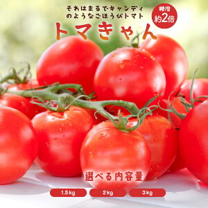 g}g ~jg}g u_̃~jg}g ÂĔJg}g g} Iׂe1.5kg~3kgv [  Y Ƃ܂ g}g t[cg}g ~jg}g 쌧 OLs 1kg