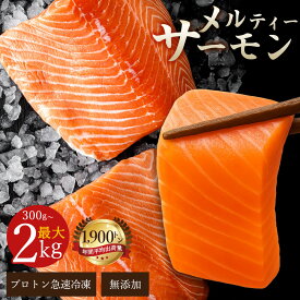 サーモン 刺身 お刺身 「 メルティーサーモン 300g〜最大2kg ( アトランティックサーモン ) 」送料無料 [ 無添加 鮭 さけ サケ 海鮮 生サーモン 生食サーモン 骨なし お取り寄せ 三豊市 香川県 アトランティック タイセイヨウサケ フィレ 瀬戸水産 ]